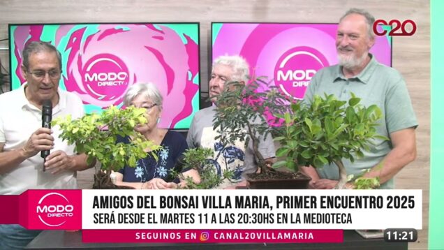 Modo Directo | Medioteca – Amigos del Bonsai