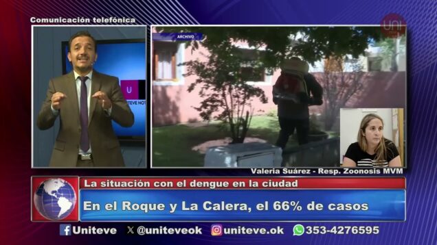 Uniteve Noticias | Marcado incremento de los casos de dengue