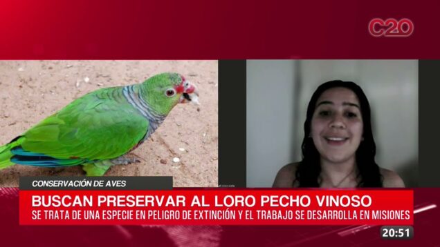 C20 Noticias | Conservación de aves – Ticiana Scotto