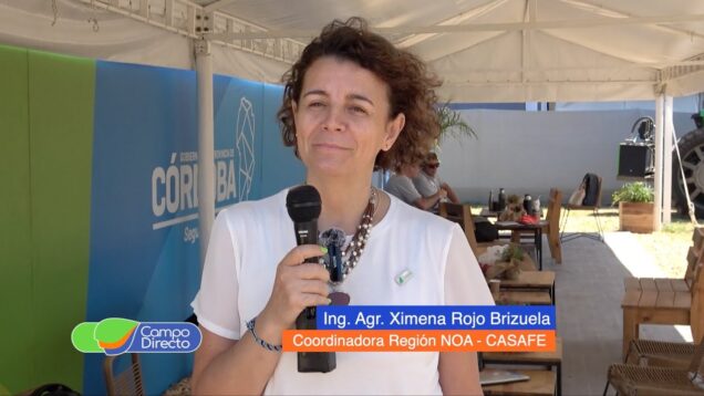 Campo Directo | Casafe avanza con el “Mapa de recetas fitosaitarias”