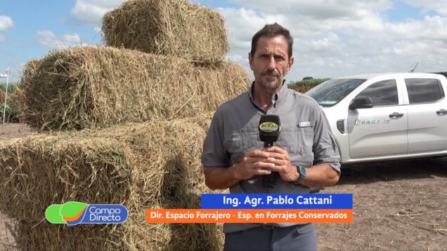 Campo Directo | Manejo de alfalfas en otoño