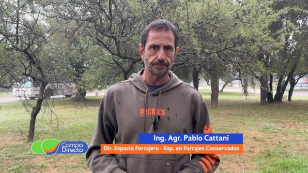 Campo Directo | Decisiones a tomar ante el riesgo de heladas