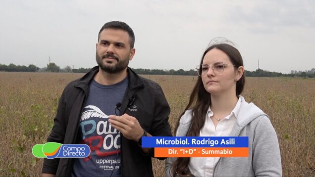 Campo Directo | Después de batata, producción de soja con biológicos