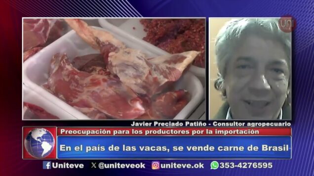 Untieve Noticias | Preocupación por la importación de carne vacuna de Brasil