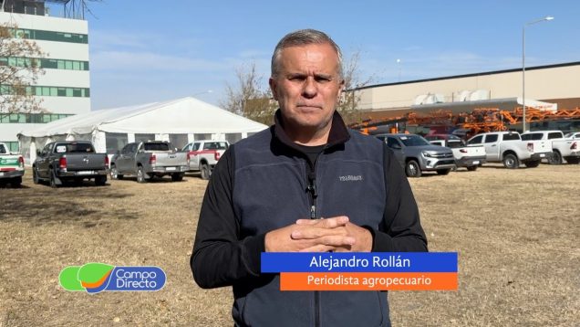 Campo Directo | El Gobierno eliminó el peso mínimo de faena luego de 18 años