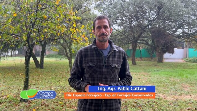 Campo Directo | Forrajes: lo que nos dejó una campaña con mucha variabilidad