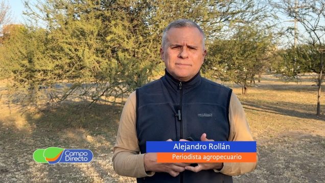 Campo Directo | Cuota Hilton: Córdoba tendría menos chance para exportar más volumen en 2025/2026