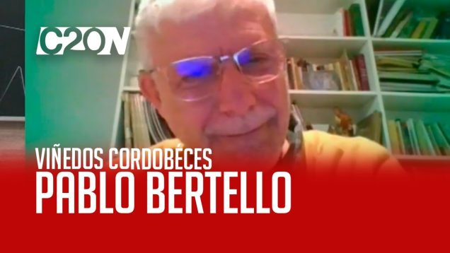 C20 Noticias | Viñedos en territorio Cordobés – Pablo Bertello