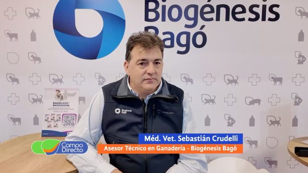 Campo Directo | Diagnóstico de la garrapata en el rodeo bovino argentino