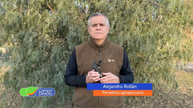 Campo Directo | La rebaja en las retenciones a la carne y su efecto en la industria frigorífica y en los ganaderos