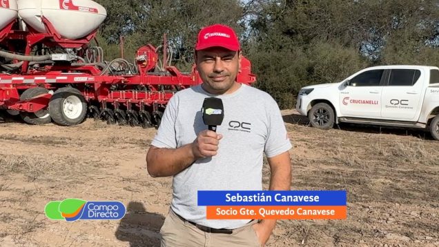 Campo Directo | La solución a la siembra de garbanzo calibre 9 mm.