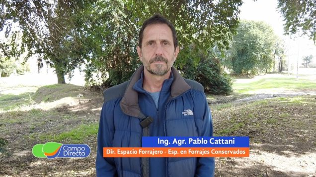 Campo Directo | Puntos relevantes para lograr un buen henolaje empaquetado