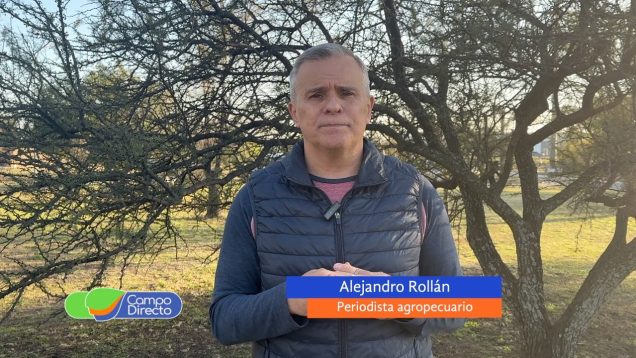 Campo Directo | Los precios estimulan a las exportaciones de carne bovina