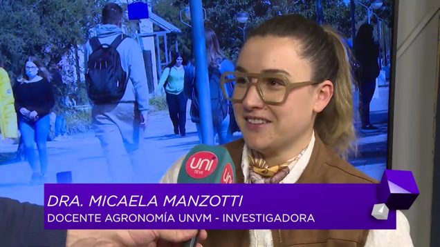 Uniteve Noticias | Fertilización estratégica para un maíz de alto rendimiento