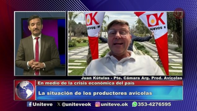 Uniteve Noticias | La situación de los productos avícolas