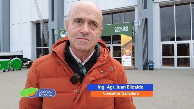 Campo Directo | Cuándo sacrificar la calidad del forraje