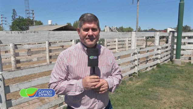 Campo Directo | Programa Campo Directo 552