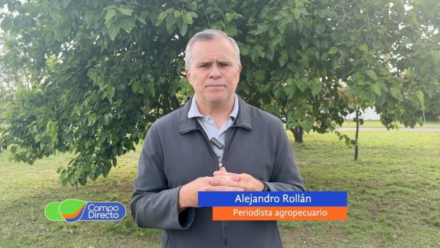 Campo Directo | Retenciones cero: ¿hay chances de mejora en los precios de los granos?