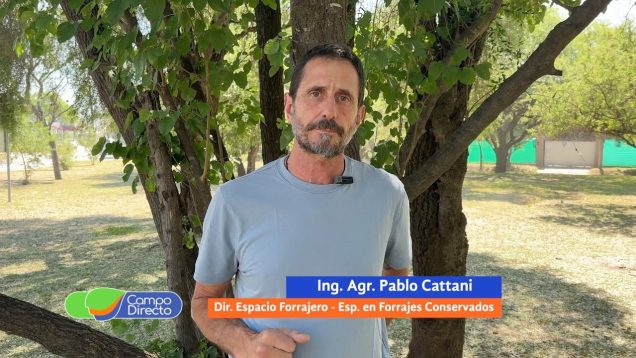 Campo Directo | Evolución del mercado de maquinaria forrajera