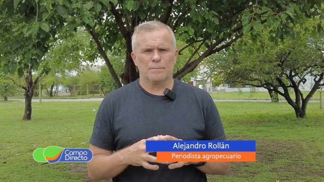 Campo Directo | Al pie y al mostrador, la carne sigue actualizando su precio