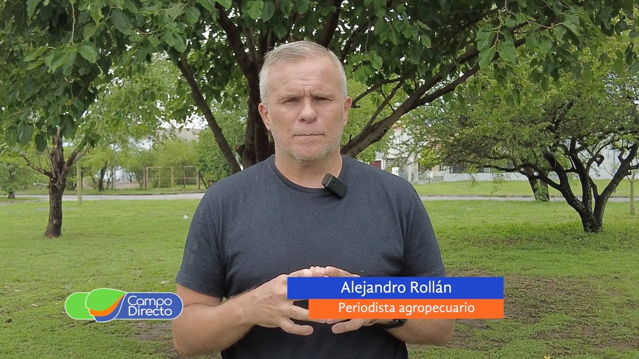 Campo Directo | Al pie y al mostrador, la carne sigue actualizando su precio