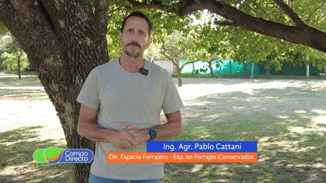 Campo Directo | Conocimos en Agritechnica toda la tecnología aplicada a la conservación de forrajes