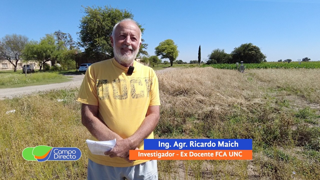 Campo Directo | Cultivos de invierno: manejo diferenciado para maximizar rendimientos en Córdoba