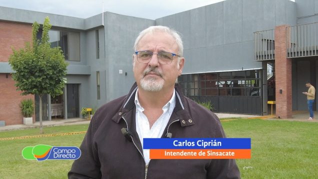 Campo Directo | Sinsacate elimina tasas a las guías de hacienda para aliviar la carga al productor