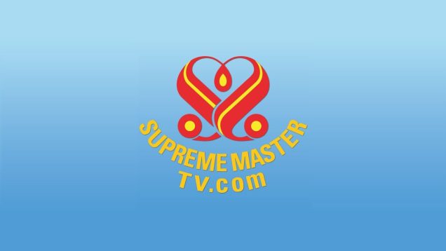Supreme Master TV