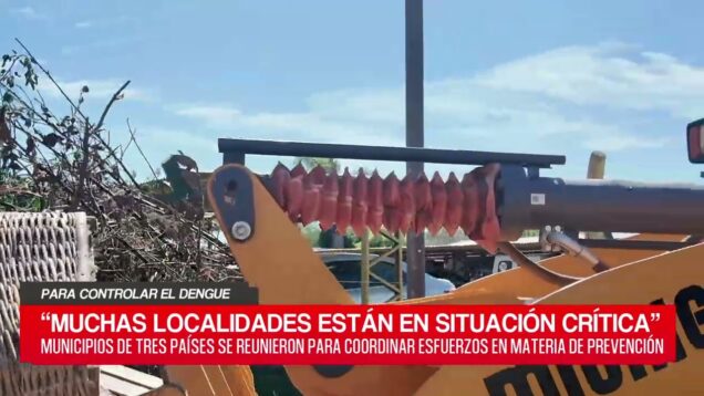 C20 Noticias | Para Controlar el Dengue – Laura López