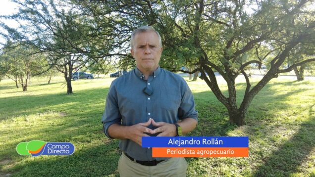 Campo Directo | ¿Cuántos kilos de pollo y de cerdo se compran con uno de asado?