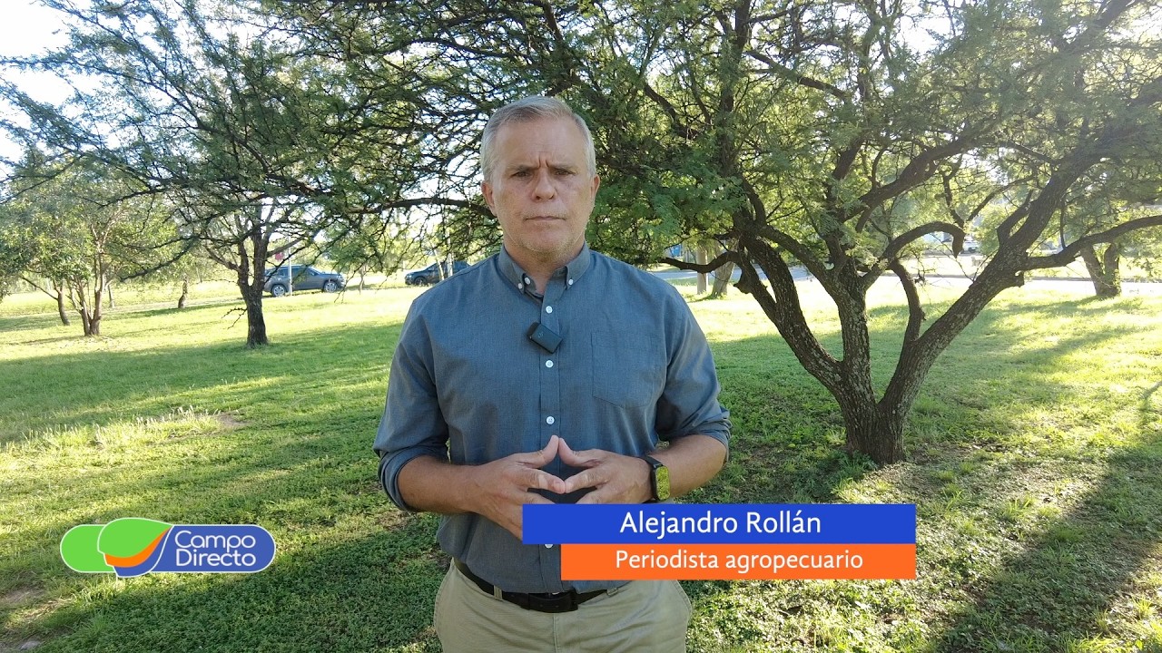 Campo Directo | ¿Cuántos kilos de pollo y de cerdo se compran con uno de asado?