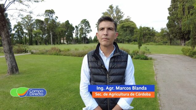 Campo Directo | Mesa del Trigo 2026