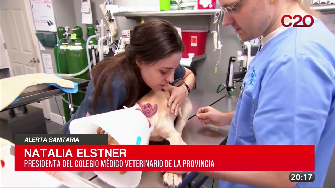 C20 Noticias | Alerta sanitaria – Natalia Elstner
