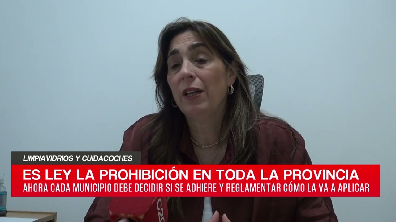 C20 Noticias | Limpiavidrios y Cuidacoches – Verónica Navarro Alegre