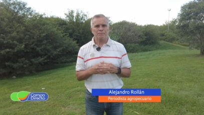 Campo Directo | Mejora la estimación de cosecha de granos en Córdoba