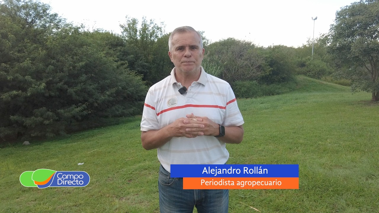 Campo Directo | Mejora la estimación de cosecha de granos en Córdoba