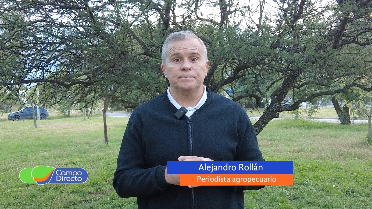 Campo Directo | Cosecha en Córdoba: segunda más grande en volumen y tercera en facturación