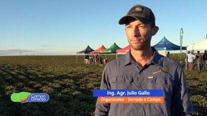 Campo Directo | Fungicidas en maní
