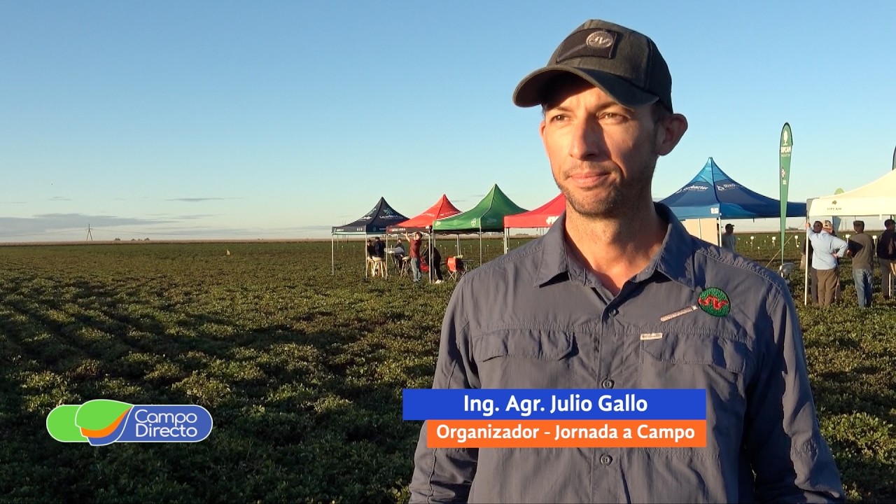 Campo Directo | Fungicidas en maní